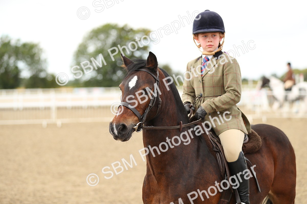 SBM_04867 - Class 47a Style & Performance 60cm (15-19)