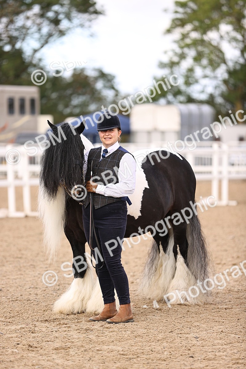 SBM_09315
