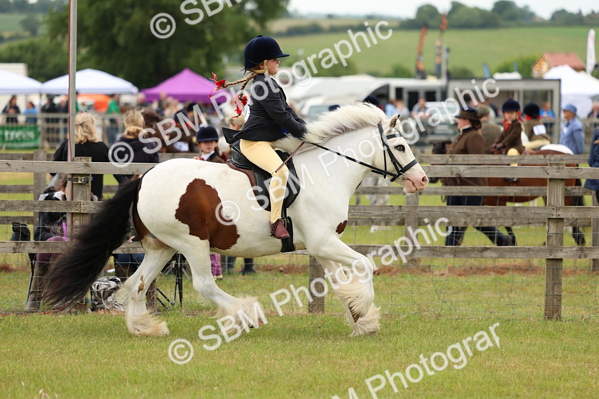 SBM_06259 - Class 39-41 TGCA In Hand and Ridden