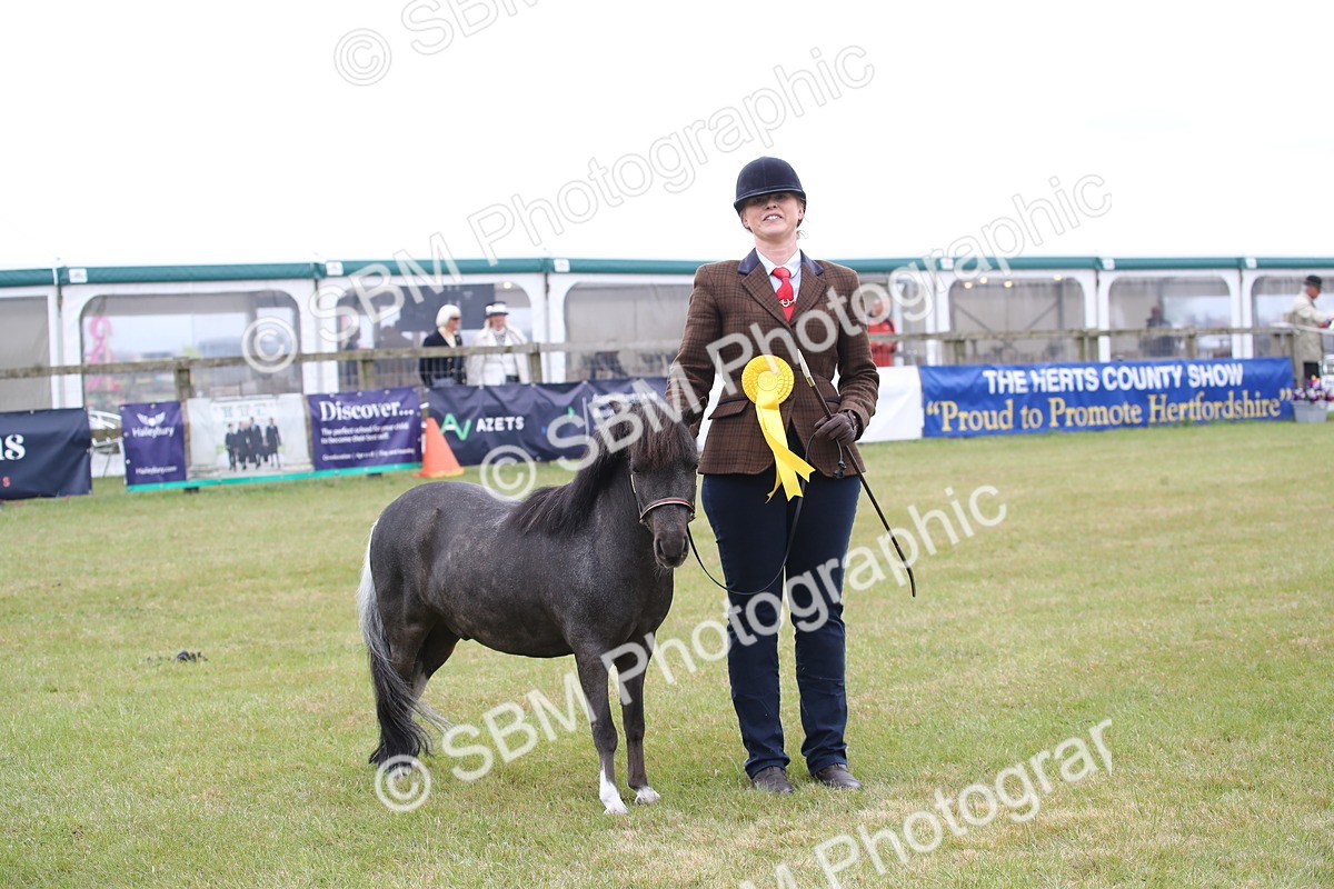 SBM_04019 - Class 23-25 - British Miniature Horse of the Year