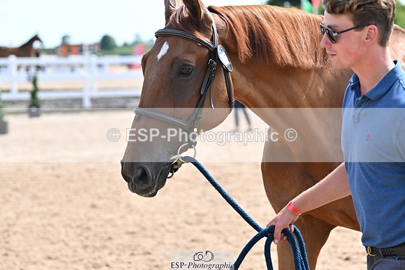 240717A-154218-02993 - Trot Up 3pm to 4pm