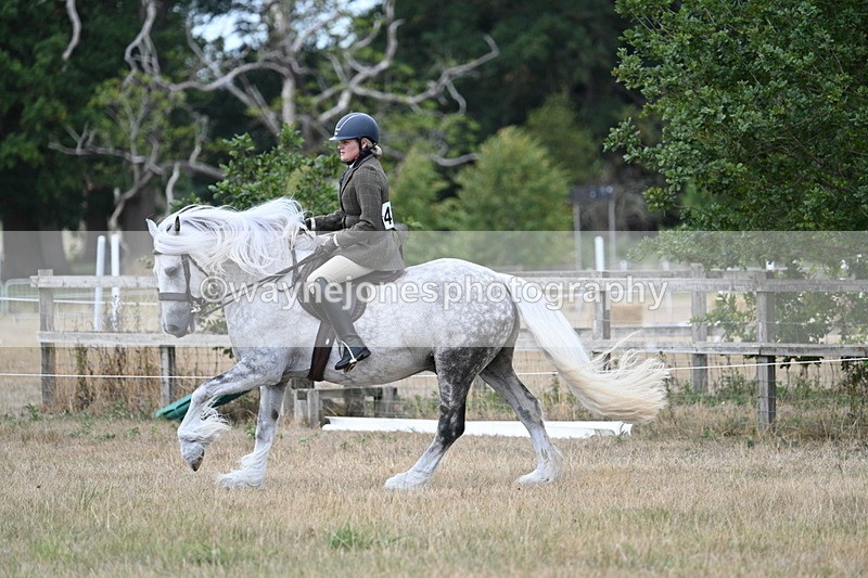 WJ7_5137 - Class 12 Ridden Cob