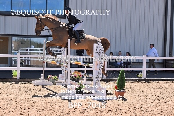 BPP_7045 - CLASS 14 FRI Nupafeeds Senior Dicovery/1m open
