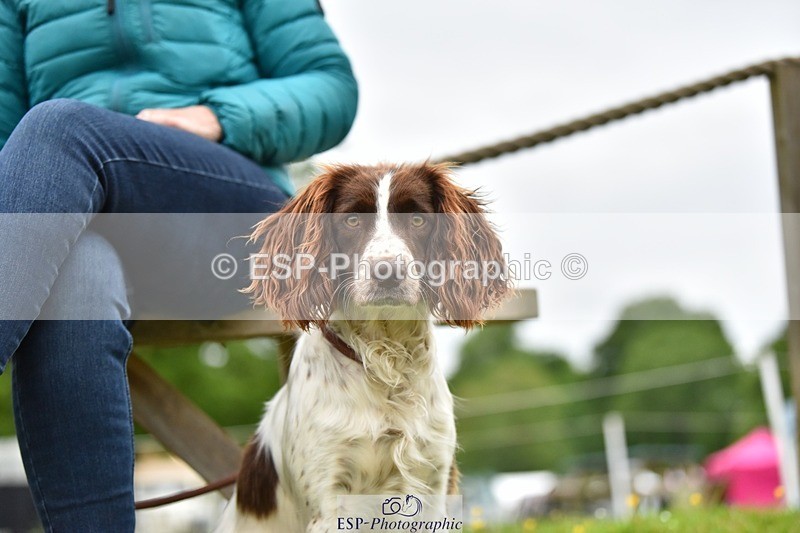 240523-193452-06591 - Candid and Saturday Hobby Horse