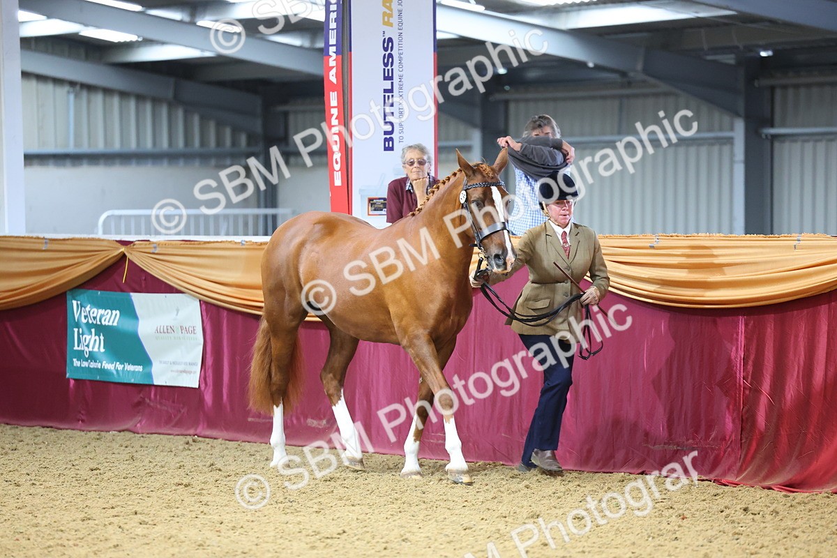 SBM_23216 - Supreme Final - IH Champion