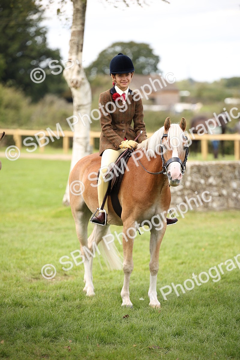 SBM_42381 - S13 - Pony Club Pony