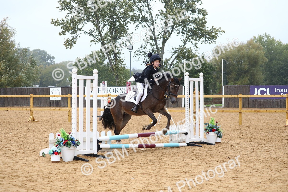 SBM_71645 - J4 - Mini Tour Junior Pony 45cm Championship