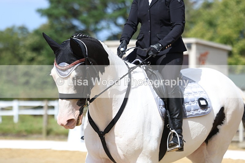 3E7A4107 - Class 9: Novice 6 Section B Championship