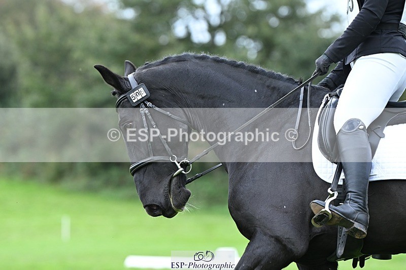 231020-152717-11172 - 505-MR.DARCY-Eleanor.Newcombe-DR