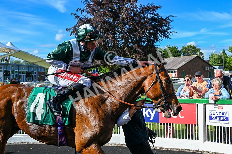 310526-Race 5-Fandom-9169 - Race 5 17.45pm Sky Bet Price Boosts Handicap