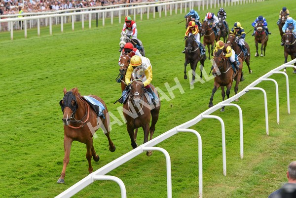 170623-Race 1-Kihavah-6906 - Race 1 2.00pm Queen Mother's Cup Handicap
