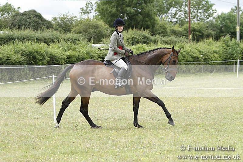 BVR160717-2292 - Working Hunter Championship 16/07/17