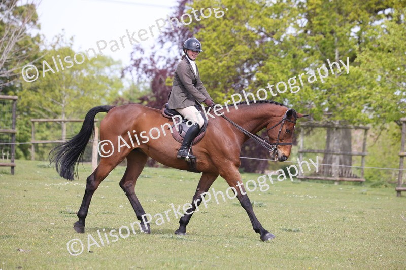 20260426-4455 - Class 34 - Best Riding Horse Over 14.2hh