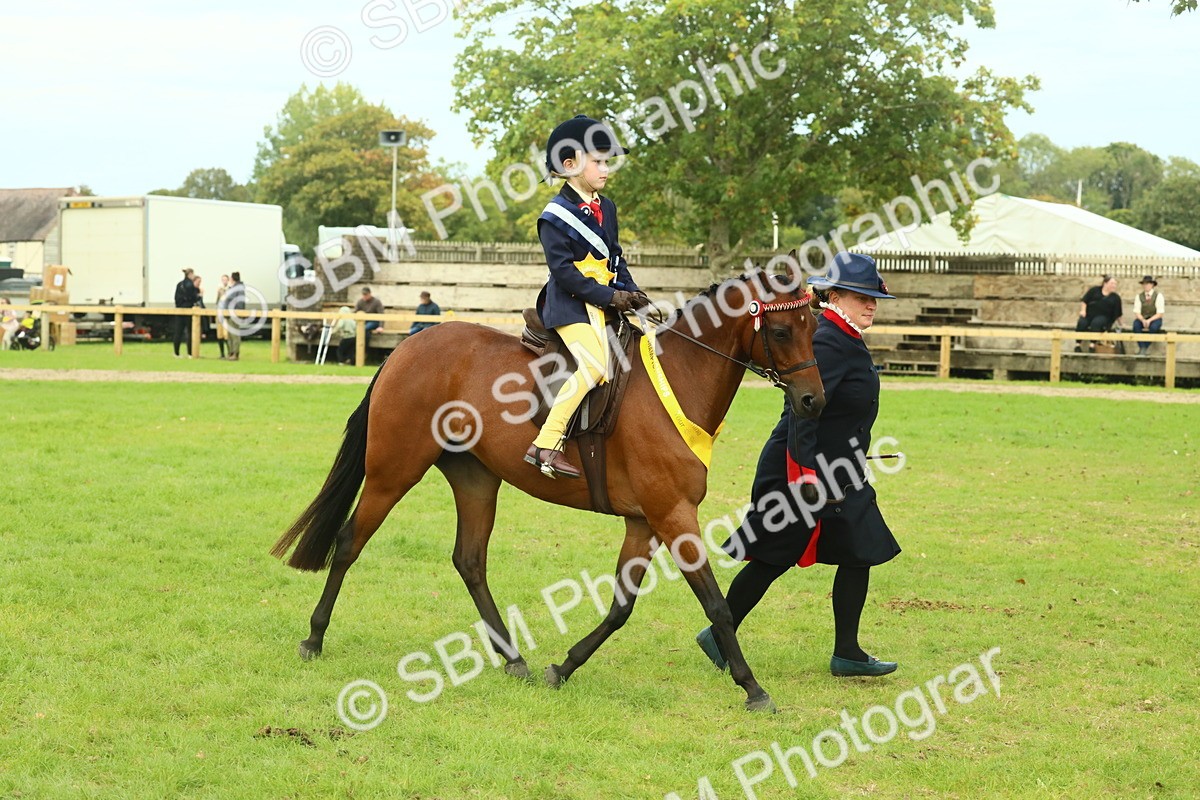 SBM_75226 - Super Supreme Championship