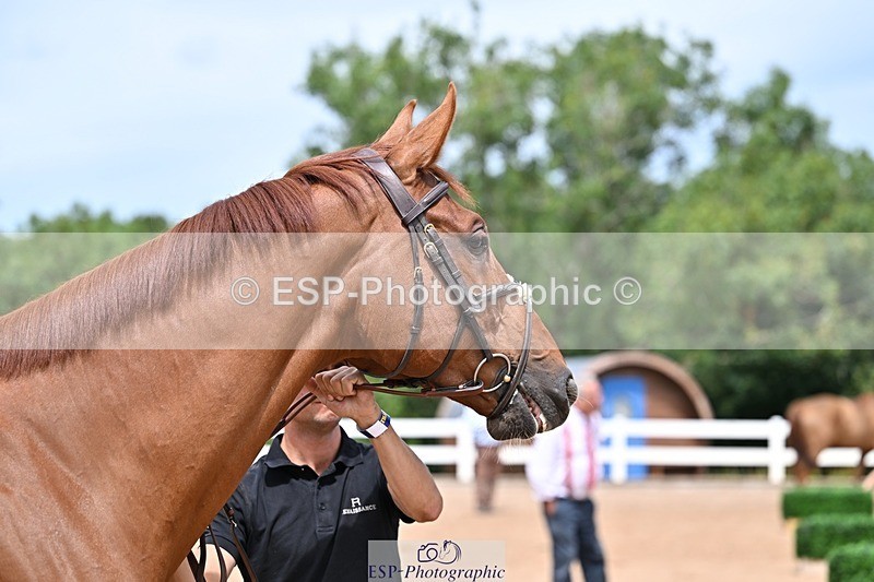 250716-132054-00450 - Trot Up 12.30 to 1.30