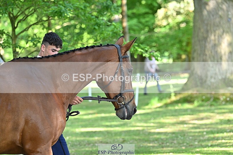 250521A-162126-01086 - C-216-Harrison.Chart-MY.KIND.OF.LADY