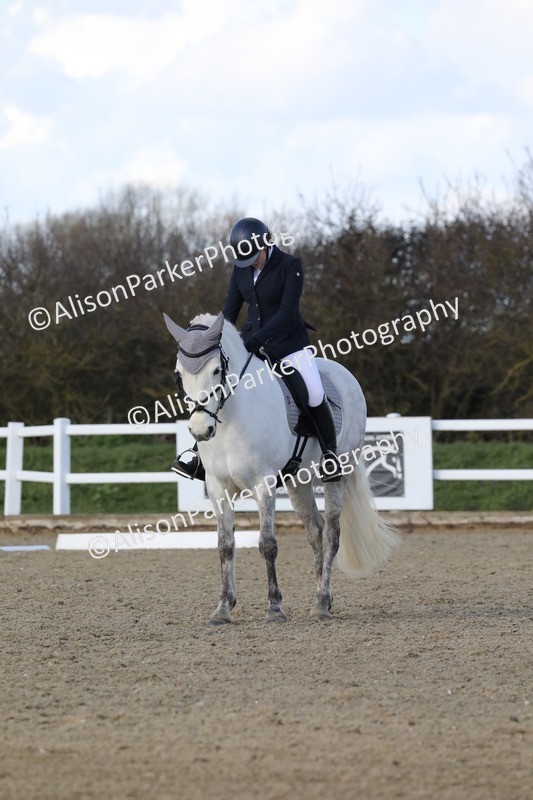 20260314-5072 - CT6 - Elementary 1