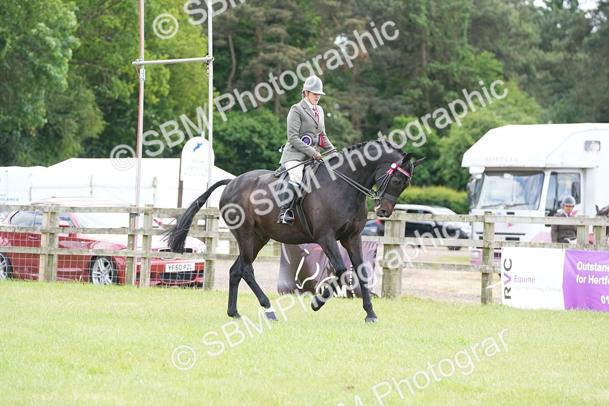 SBM_16226 - Class 105-106 - RIHS Riding Horses