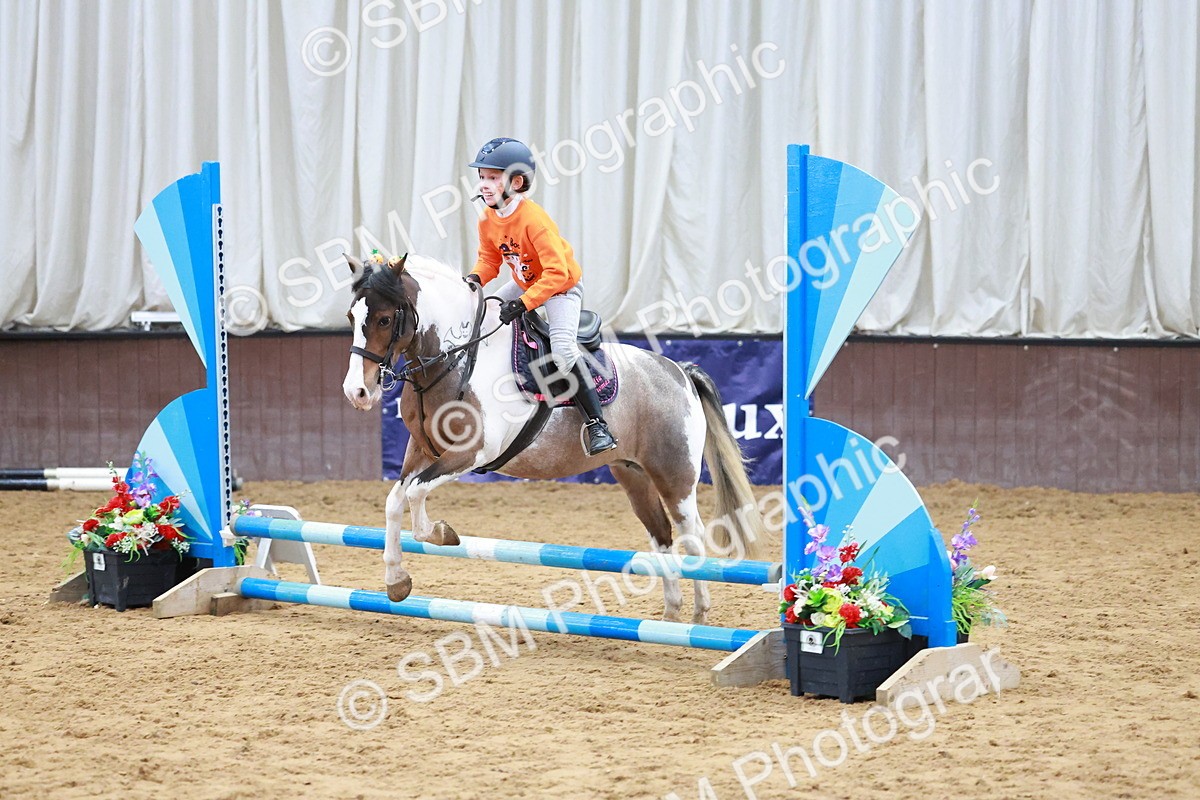 SBM_001703 - Class 3 - Horse & Hound (60cm)