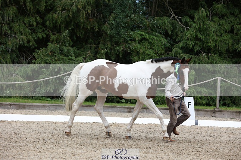 230812-145005-04815 - Novice Silver Presentations