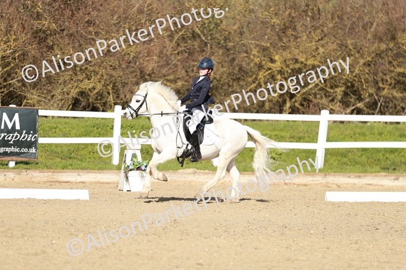 20260314-4520 - DR4 - Prelim 2