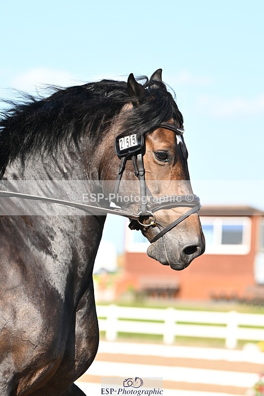 240816A-170530-06364 - 255-Victoria.Hunton-Maesmynach.Annwyl