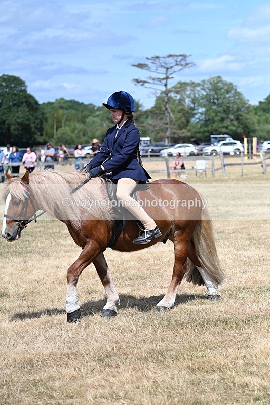 WJ7_3265 - Class 8 Ridden Veterans