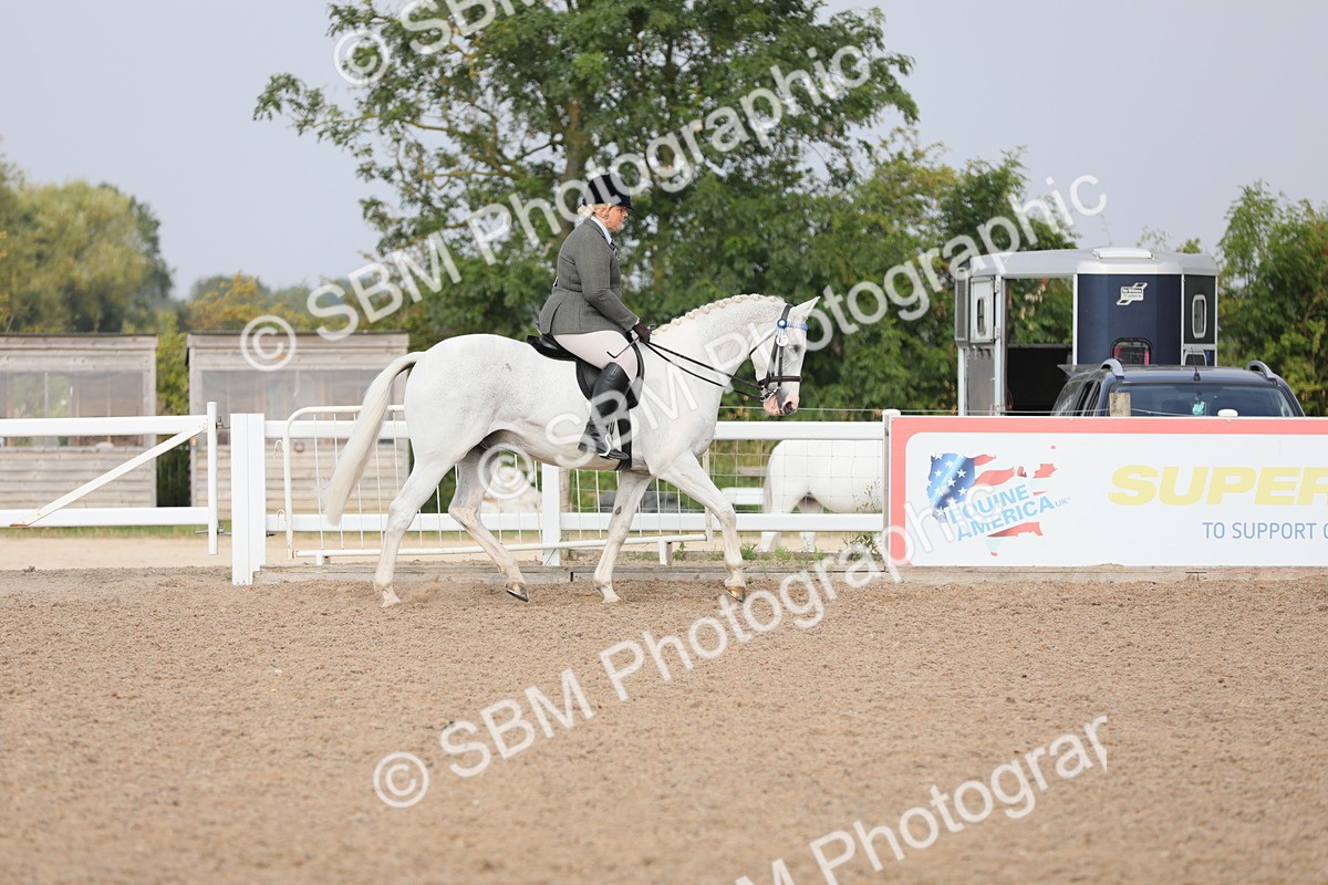 SBM_10861 - Class 304 Ridden Part Bred Horse/Pony