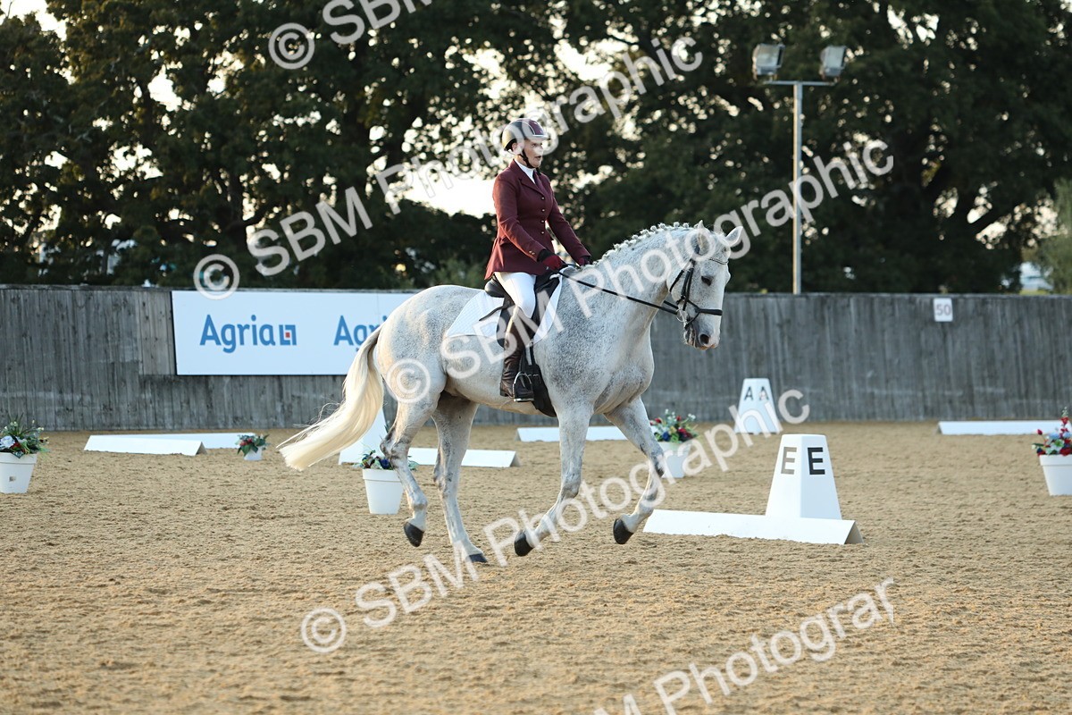 SBM_31199 - D20 - Grand Tour Championship - Elementary 44