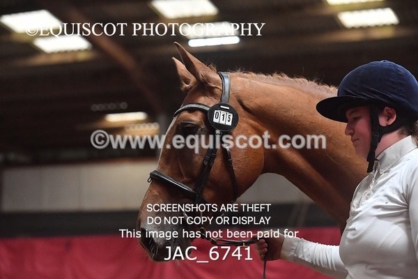 JAC_6741 - 15 Ziggy of Westoak