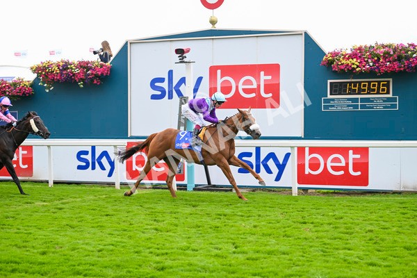 240824-Race 1-See The Fire-1006 - Race 1 1.50pm Sky Bet Strensall Stakes