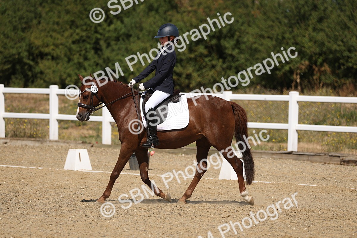 SBM_013719 - Class 1 - P5 Bronze 10.38.12.02