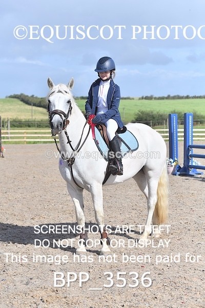 BPP_3536 - CLASS 2 Club/ Unaffiliated 80cms Open