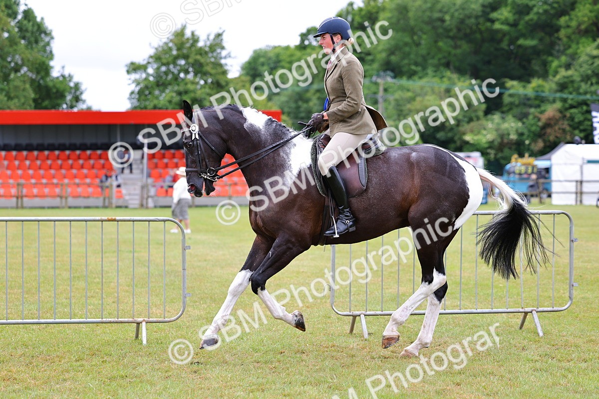 SBM_02645 - Class 9-11 Side Saddle including LIHS Rising Star Ladies Show Horse