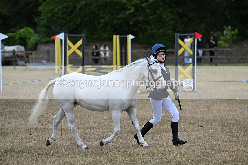 WJ7_8334 - Class 4 Prettiest Mare up to 14.2hh