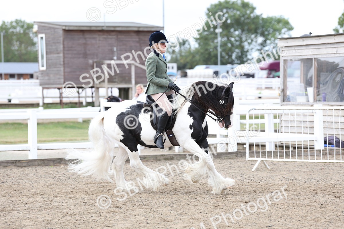 SBM_01490 - Class 52 - Ridden Veteran