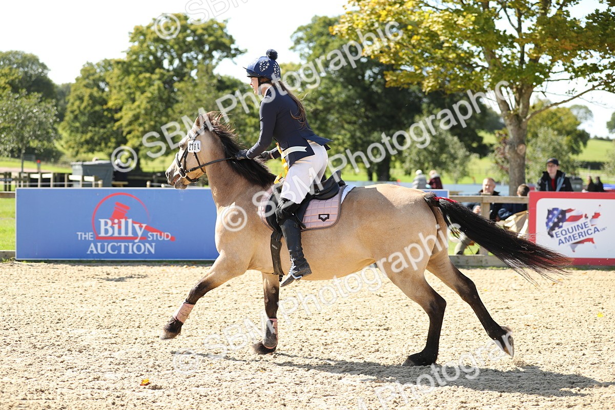SBM_04847 - J28 - Senior Horse & Pony 60cm Championships