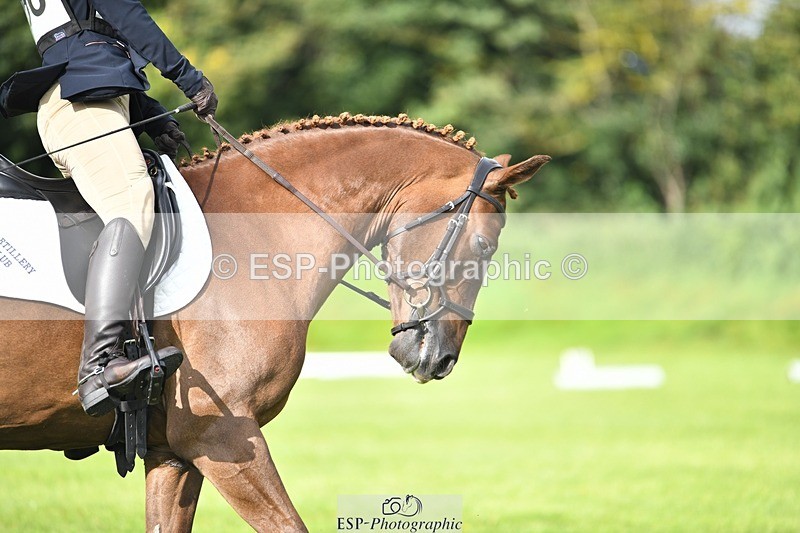 230826-094107-15198 - Sections C & D 9 to 10am