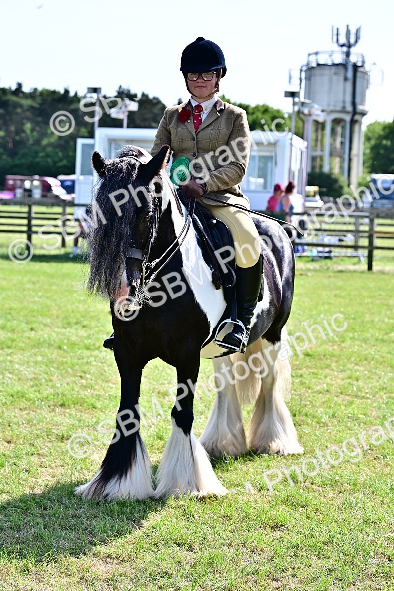 SBM_09432 - Class 63-65 - Traditional Gypsy Cobs In Hand & Ridden