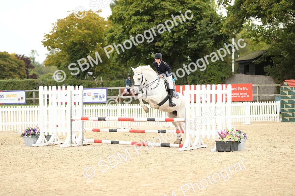 SBM_63149 - Supreme championship 75cm 80cm