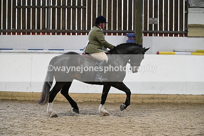 WJ7_3800 - Class 17 Ridden Cob