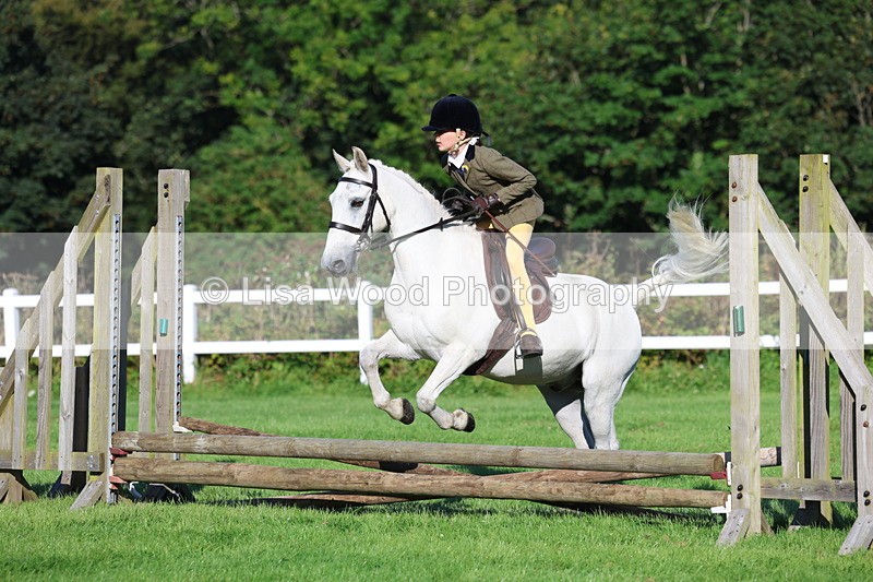 3E7A7502 - Class 1: Novice Working Hunter Pony