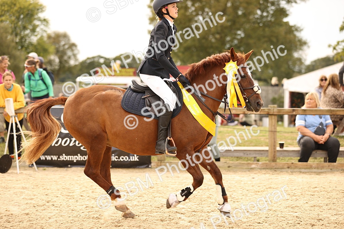 SBM_70860 - J13 - Junior Pony 60cm Championship