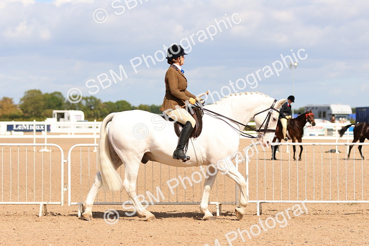 SBM_13459 - Class 212 - Ridden Hunter  - Large