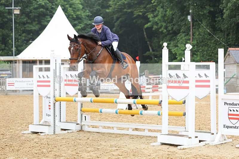 3E7A5556 - Class 4: Senior British Novice/90cm open