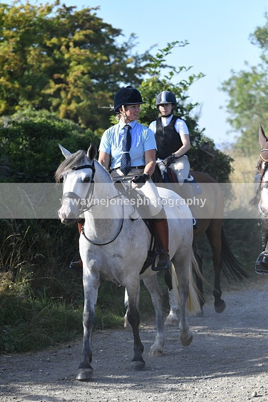 WJ5_4918 - Walk out with the hounds