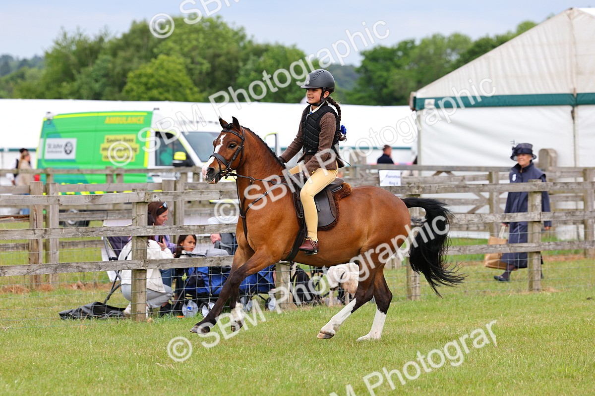 SBM_09553 - Class 44-45 - LIHS BSPS Open Nursery and Cradle Stakes