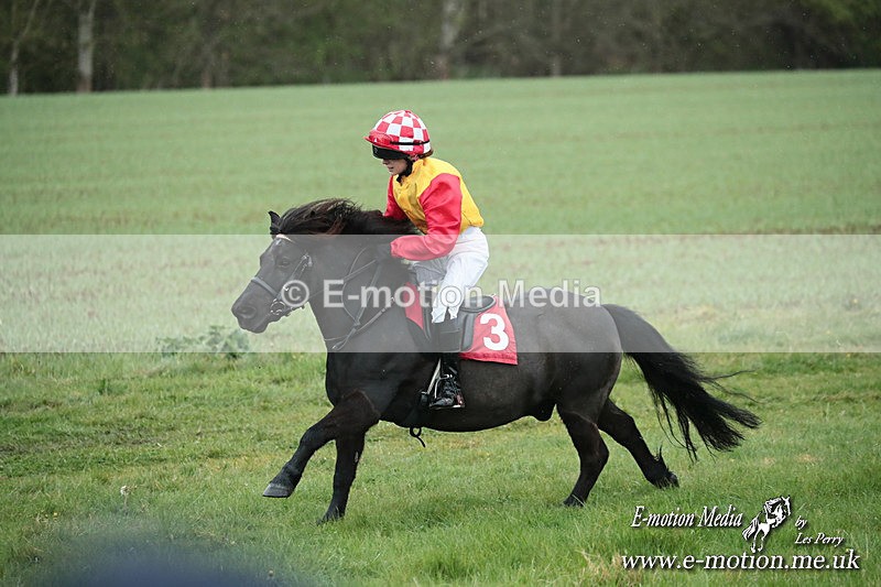 SHETPR 210425 129 - Shetland Ponies Paxford Races 21/04/25