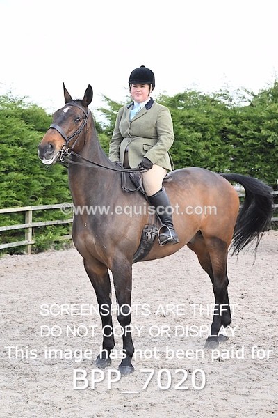 BPP_7020 - RING 1  (RIDDEN HORSES / IN HAND / VETERAN ETC)