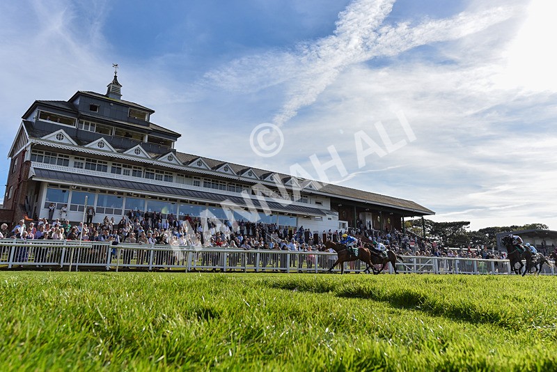 160924-Race 5-King Of The Jungle-6694 - Race 5